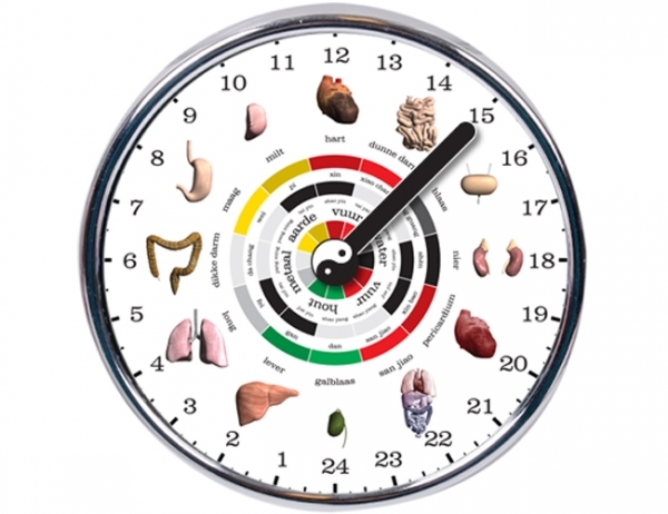 24-hour-chinese-organ-clock