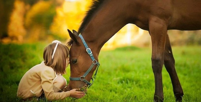 bambino_cavallo