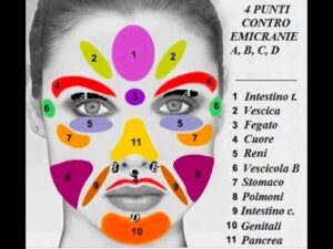 La Mappa Dei Brufoli Per Capire Che Problema Di Salute Hai Cammina