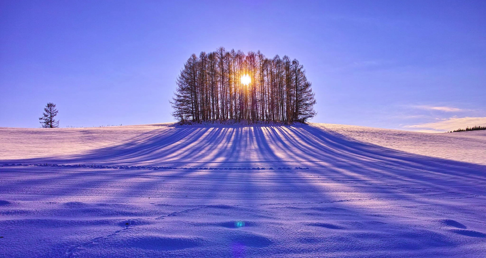 winter-sunrise-behind-the-trees-nature-hd-wallpaper-1920x1200-9534edit