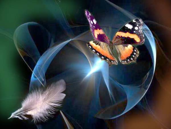 anima-farfalla
