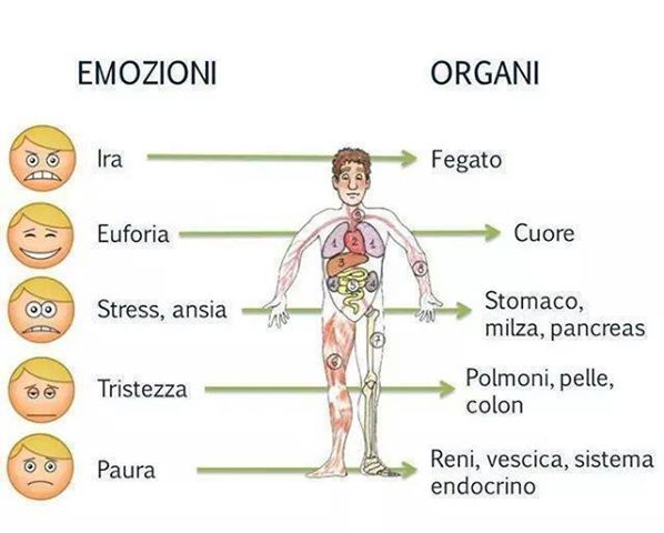 emozioni-organi